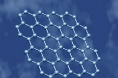 Ảnh minh họa. (Nguồn: Internet)