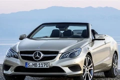 (Nguồn: telegraph.co.uk)