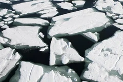 Ảnh minh họa. (Nguồn: Internet)