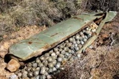 Ảnh minh họa. (Nguồn: Internet)