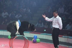 Tiết mục xiếc thú của đoàn xiếc Trung ương II. (Nguồn: Phương Hoa/TTXVN)