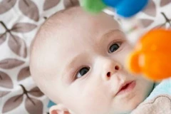 Ảnh minh họa. (Nguồn: Internet)