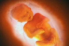 Ảnh minh họa. (Nguồn: Internet)