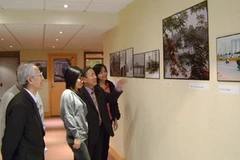 Ảnh minh họa. (Nguồn: Internet)