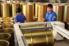 Ảnh minh họa. (Nguồn: Trần Việt/TTXVN)