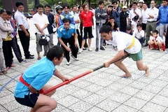 Ảnh minh họa. (Nguồn: Thanh Tùng/TTXVN)