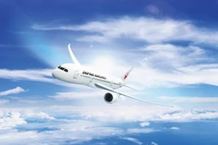 Một chuyến bay của hãng hàng không Nhật Bản. (Nguồn: JAL)