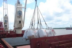 Ảnh minh họa. (Nguồn: demerarawaves.com)