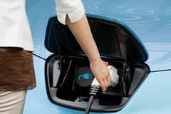 Ảnh minh họa. (Nguồn: eco-island.org)