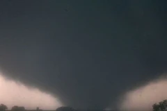 Ảnh minh họa. (Nguồn: chron.com)