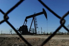 Ảnh minh họa. (Nguồn: Internet)