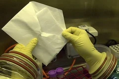 Ảnh minh họa. (Nguồn: Internet)