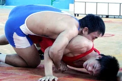 Ảnh minh họa. (Nguồn: Quang Ngọc/TTXVN)