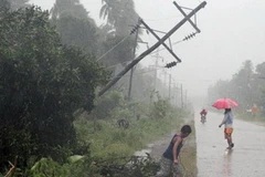 Ảnh minh họa. (Nguồn: AFP)