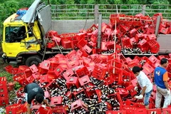 Ảnh minh họa. (Nguồn: Internet)