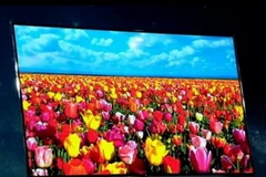 Ảnh minh họa. (Nguồn: Internet)