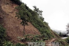 Ảnh minh họa. (Nguồn: TTXVN)