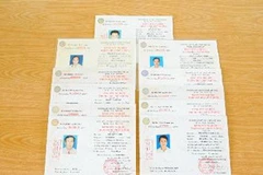 Ảnh minh họa. (Nguồn: Huỳnh Sử/TTXVN)