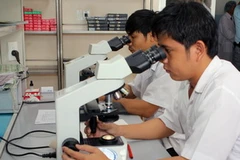 Cán bộ Phòng xét nghiệm y tế Bệnh viện Phạm Ngọc Thạch xét nghiệm vi sinh. (Ảnh: Phương Vy/TTXVN)