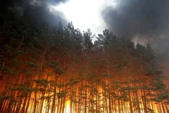 Ảnh minh họa. (Nguồn: Internet)