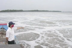 Chất lượng nước sông Thị Vải có chuyển biến tích cực