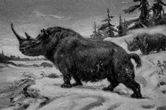 Ảnh minh họa. (Nguồn: donsmaps.com)