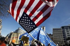 Những người biểu tình tại Washington. (Nguồn: Reuters)