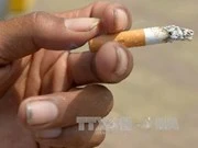 [Video] Biến đầu lọc thuốc lá thành vật liệu lưu trữ năng lượng