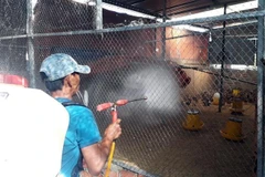 Phun thuốc tiêu độc, khử trùng chuồng trại chăn nuôi gia cầm. (Ảnh: Công Thử/TTXVN)