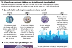 Những thông số về tờ tiền polymer mệnh giá 20 bảng của Anh