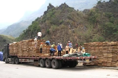 Ván bóc xuất khẩu sang Trung Quốc tại Cửa khẩu Quốc tế Thanh Thủy (Hà Giang). (Ảnh: Minh Tâm/TTXVN)