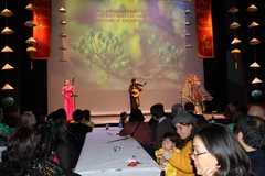 Tiết mục trình diễn nhạc cụ dân gian. (Ảnh: Kim Chung/TTXVN)