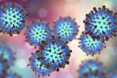 (Nguồn: naukawpolsce.pap.pl)