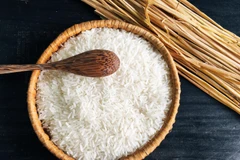 Gạo ST 25: Hành trình 24 năm từ một khám phá tình cờ 