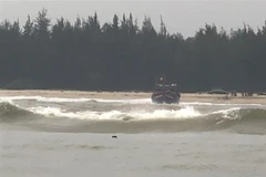 (Ảnh minh họa: TTXVN phát)