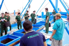 (Ảnh minh họa: Trung Hiếu/TTXVN)