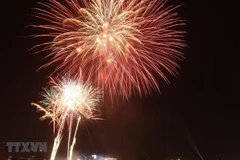 Ảnh minh họa. (Nguồn: TTXVN)