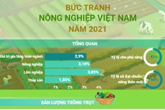 Bức tranh nông nghiệp Việt Nam trong năm 2021.