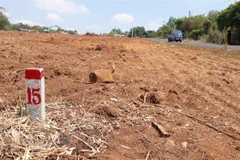 Ảnh minh họa. (Nguồn: TTXVN)