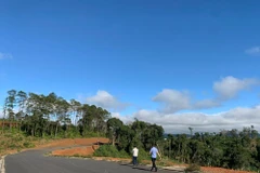 Khu vực dự kiến xây khu biệt thự phía Bắc trung tâm huyện Kon Plông. (Nguồn: Nld.com.vn)