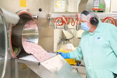 Thuốc viên uống Paxlovid điều trị COVID-19 của hãng Pfizer được sản xuất tại nhà máy ở Freiburg, Đức. (Ảnh: AFP/TTXVN)