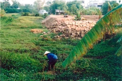 Bãi đất nông nghiệp nguyên vẹn được chụp thời điểm 2004, trước khi người dân thuê thầu vào năm 2005 (nay là hồ và nhà hàng Xuân Quế). (Ảnh: TTXVN phát)