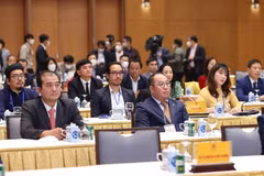 Các kiều bào về dự chương trình Xuân Quê hương. (Ảnh: Dương Giang/TTXVN)