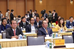 Các kiều bào về dự chương trình Xuân Quê hương. (Ảnh: Dương Giang/TTXVN)