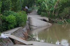 Điểm sạt lở trên tuyến đê Tây Ba Rày. (Ảnh: Minh Trí/TTXVN)