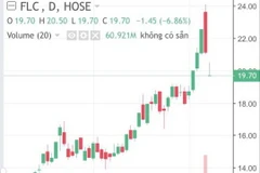 Ông Trịnh Văn Quyết giao dịch bán 74,8 triệu cổ phiếu FLC nhưng không công bố thông tin. (Nguồn: Vietnam+)