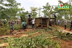 Sau khi cưỡng chế, đất rừng sẽ được giao về cho Công ty TNHH một thành viên Lâm nghiệp Quảng Sơn để trồng lại rừng. (Nguồn: Báo Đắk Nông)