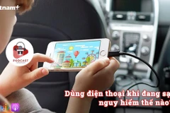 (Nguồn: Vietnam+)