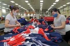 May hàng xuất khẩu sang thị trường EU. (Ảnh: Trần Việt/TTXVN)