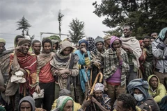 Người tị nạn chờ nhận lương thực cứu trợ tại Debark, Ethiopia. (Ảnh: AFP/TTXVN)